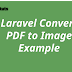 Laravel Convert PDF to Image Example