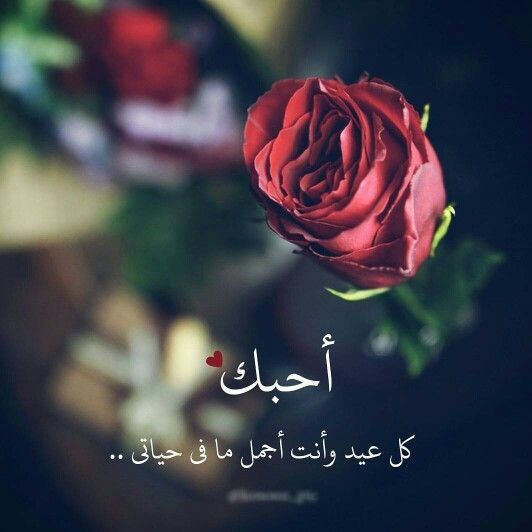 اجمل صور عيد الحب 2018 خلفيات عن الحب