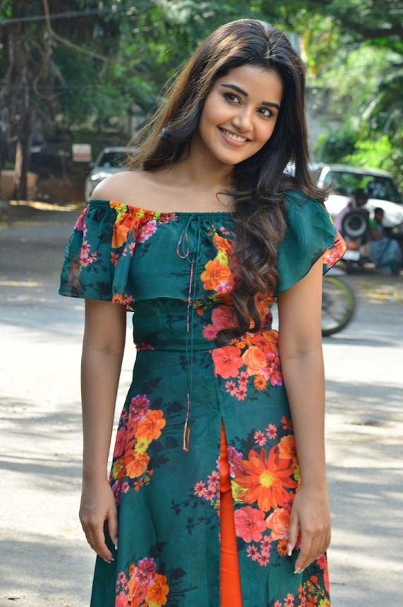Anupama Parameswaran at Hello Guru Prema Kosame Promotions