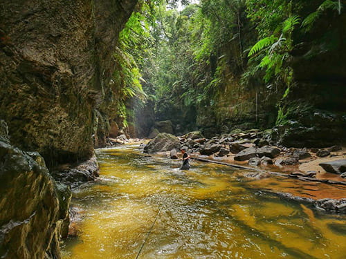 11 Tempat Wisata di Kampar dan Bangkinang yang Hits Bikin