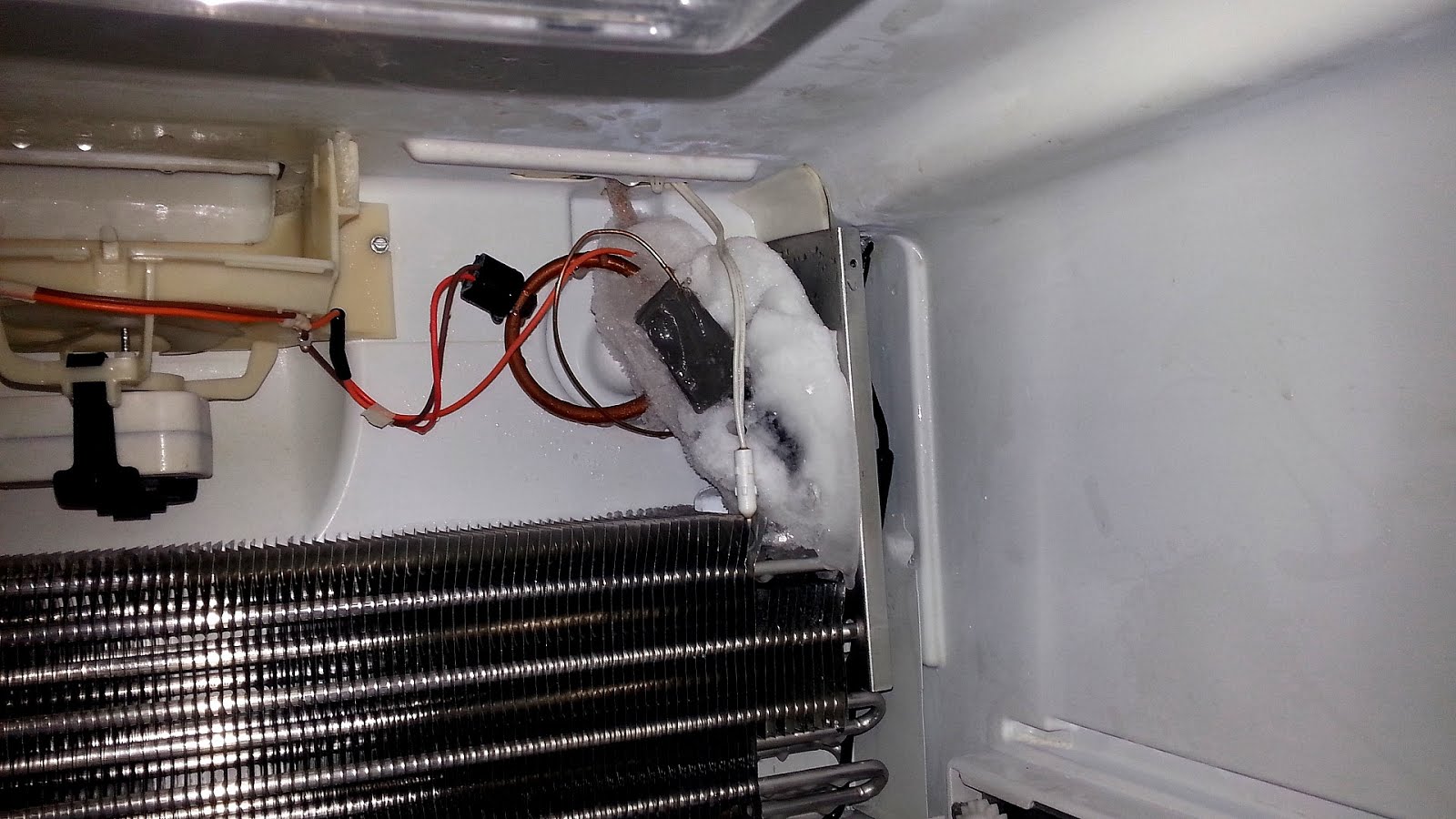 Freon Leak In Refrigerator - Refrigerator Choices