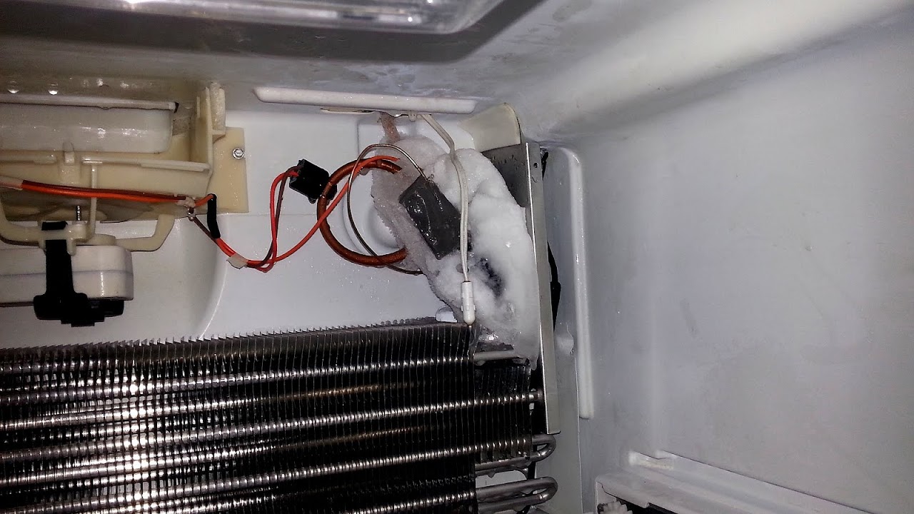 Freon Leak In Refrigerator