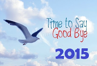 goodbye 2015 photos