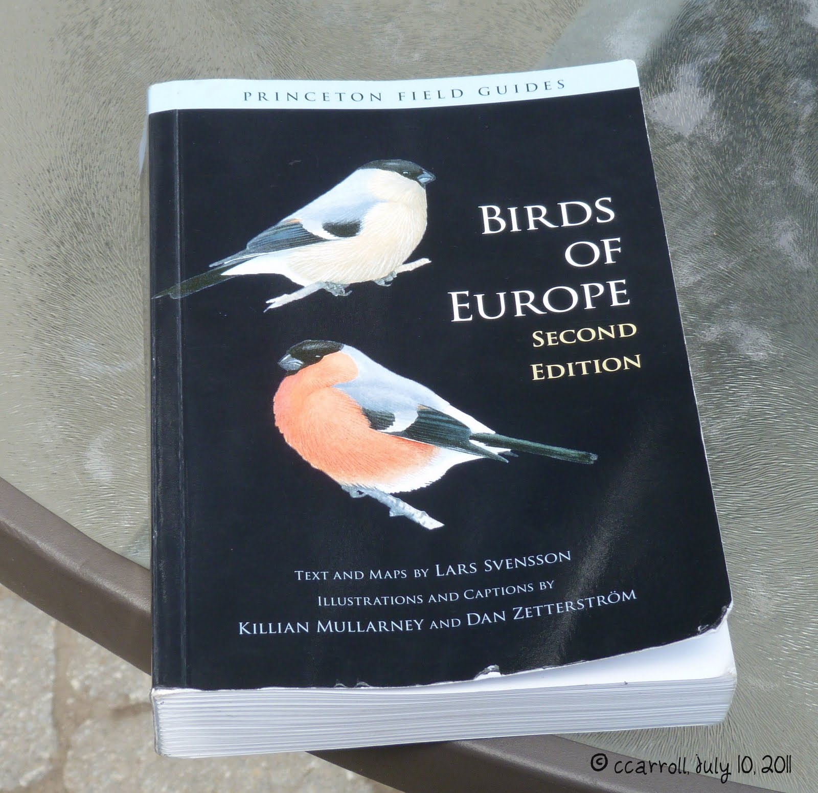 Into the Woods and Elsewhere Princeton field guide Svensson's Birds