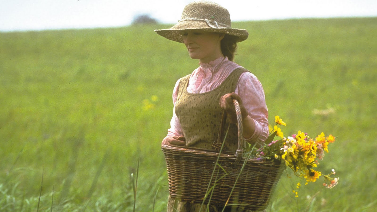 Life Unscripted What I Learned from Sarah Wheaton