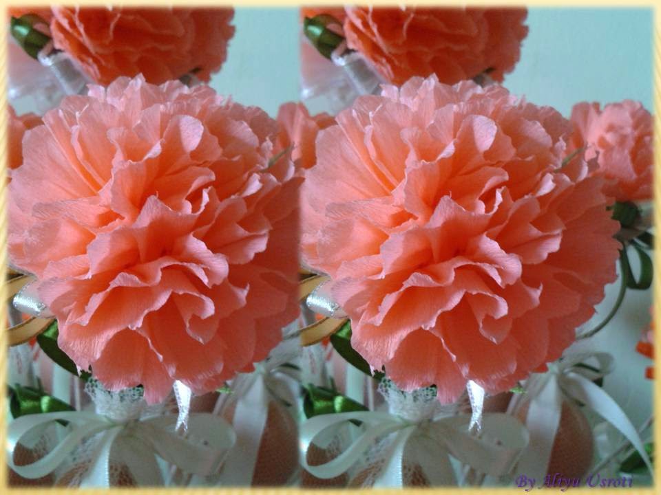 RumahKecilImpianBeribu Bunga Telur 