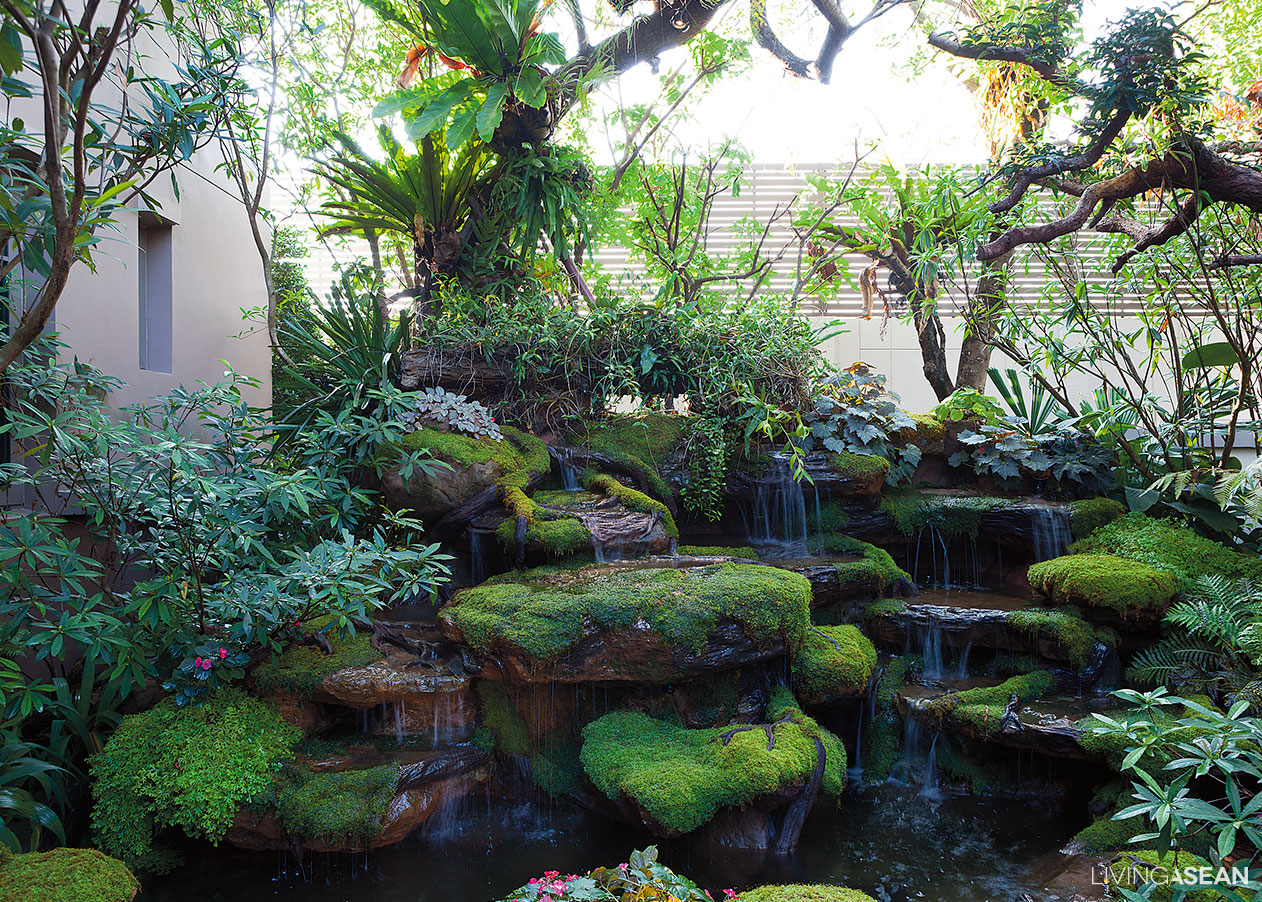 Home And Garden : Jungle Landscaping ideas