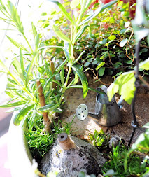 Minipuutarhani - My miniature garden