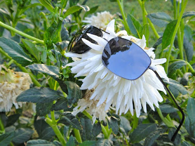 Flower with sunglasses