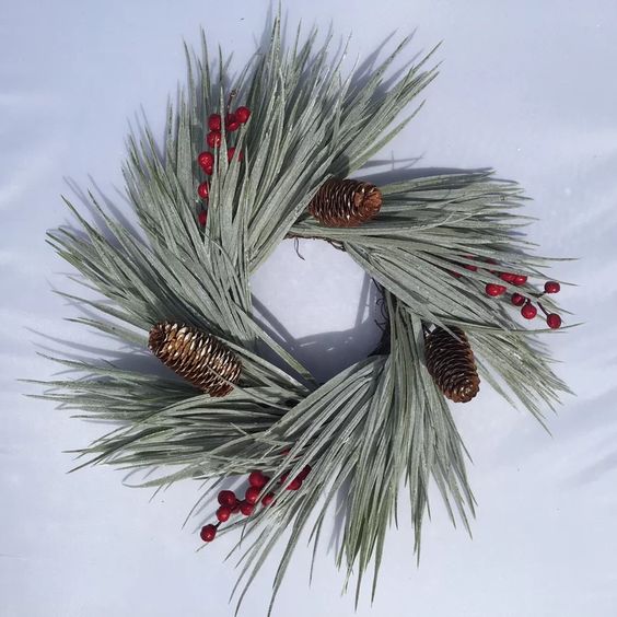 18 Coastal Christmas Wreaths For Front Door