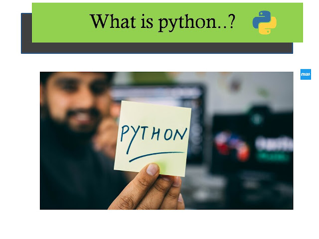what is python monkeyweb.in