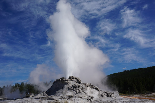 castle geyser parco yellowstone wyoming