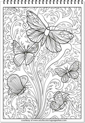 printable coloring pages for adults butterfly