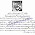 Jobs in Punjab Higher Education Commission (HEC) | Teaching Jobs Govt of Punjab 2020