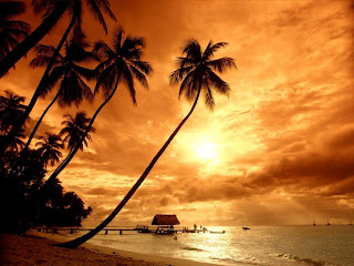 Sunset Wallpapers HD: Sunset Wallpapers HD for Desktop