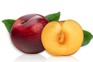 chikoo fruit meaning in english chikoo fruit meaning in english