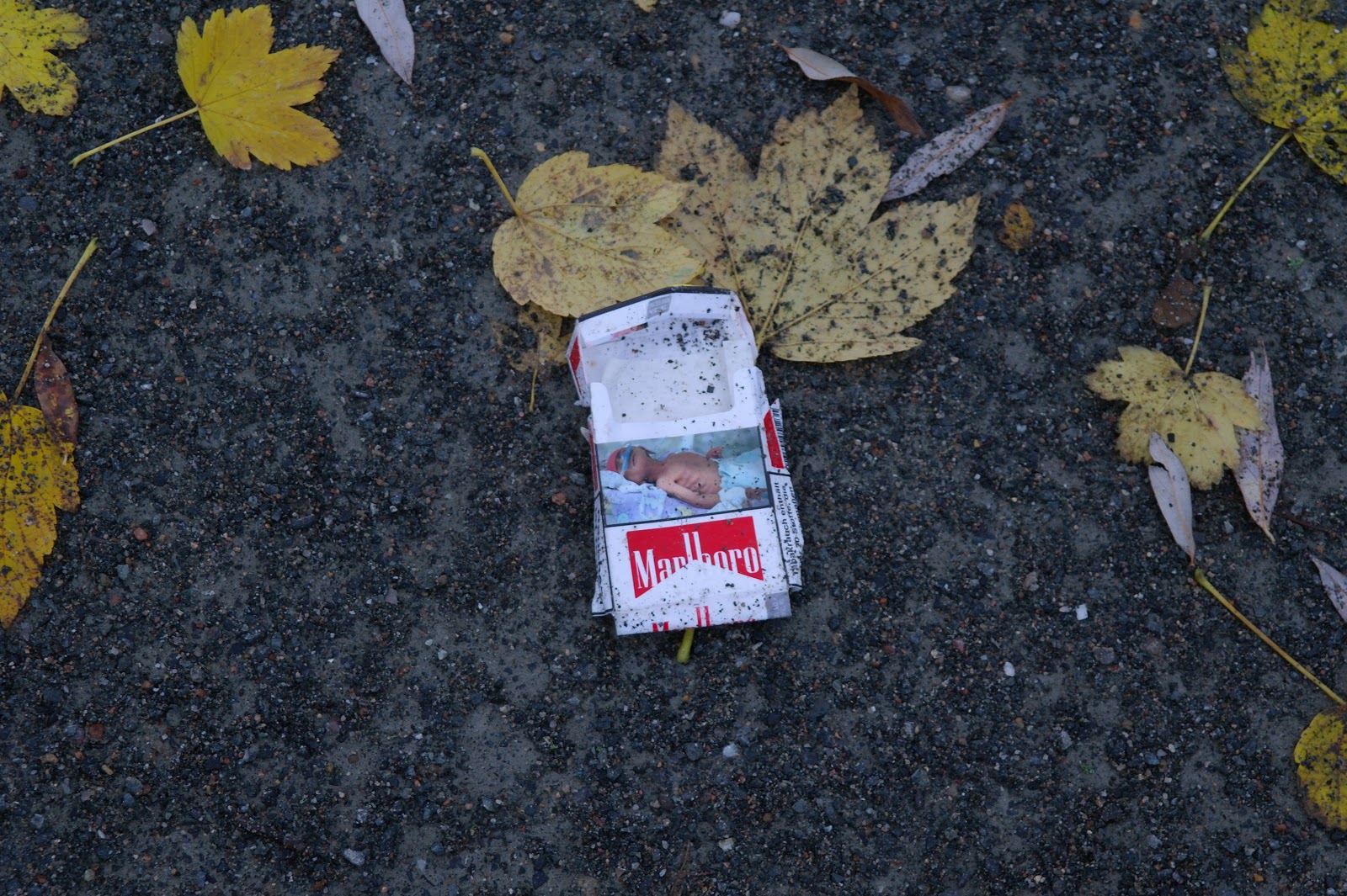 Willkommen Bei Windmaschinchen