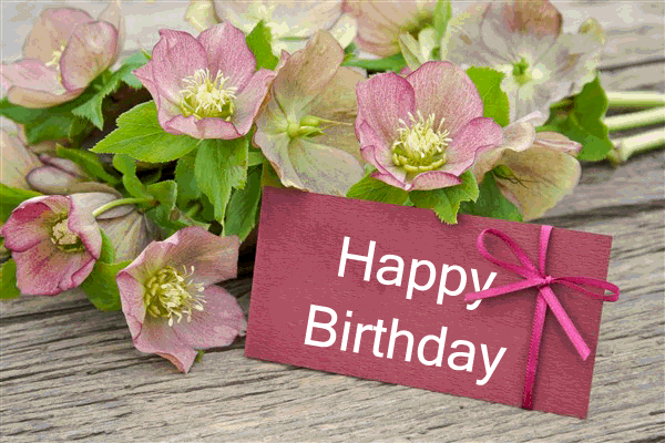 Featured image of post Happy Birthday Flowers Message / Need your birthday flowers today?