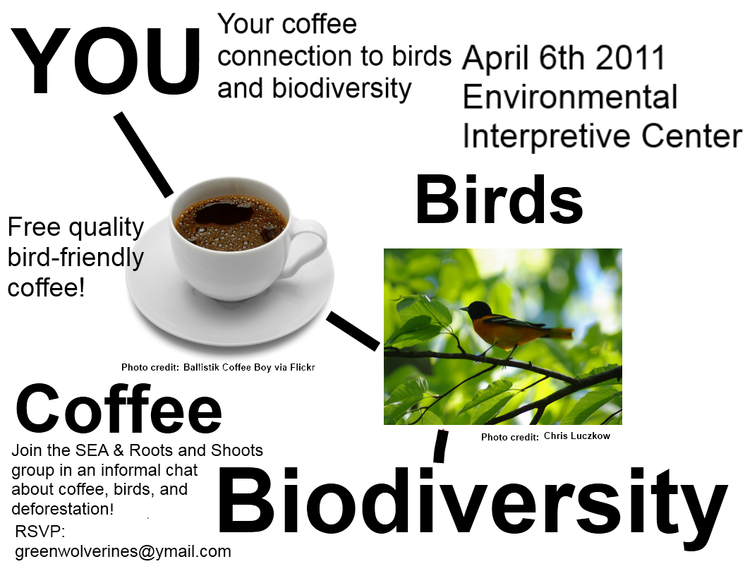 Sustainability at the University of MichiganDearborn Student