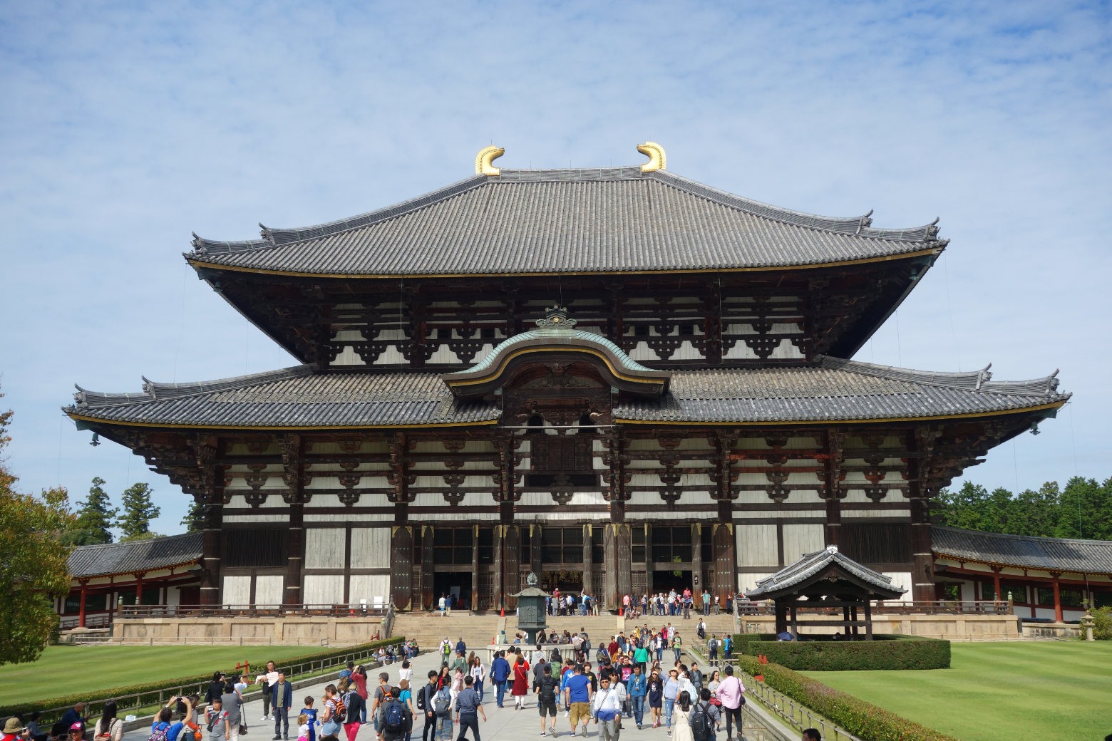 Musim Semi Di Nara Jepang Travel Pelopor Paket Tour