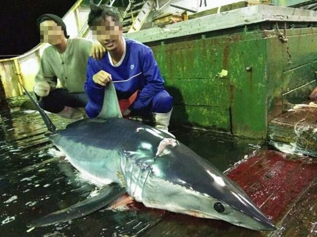 Penderitaan Warga Indonesia di Kapal China: 'Tidur Hanya 3 Jam, Makan 'Umpan Ikan', Hingga Pengalaman Pahit Melarung Jenazah Teman