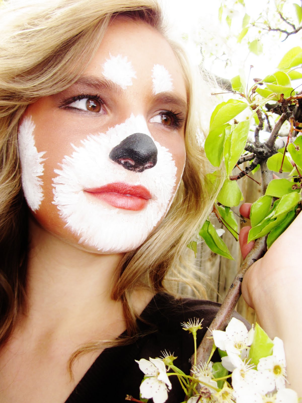 Аквагрим панда. Макияж панды. Гримм Панда. Макияж красная Панда. Макияж с пандочкой