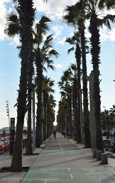 DSC_1927.JPG