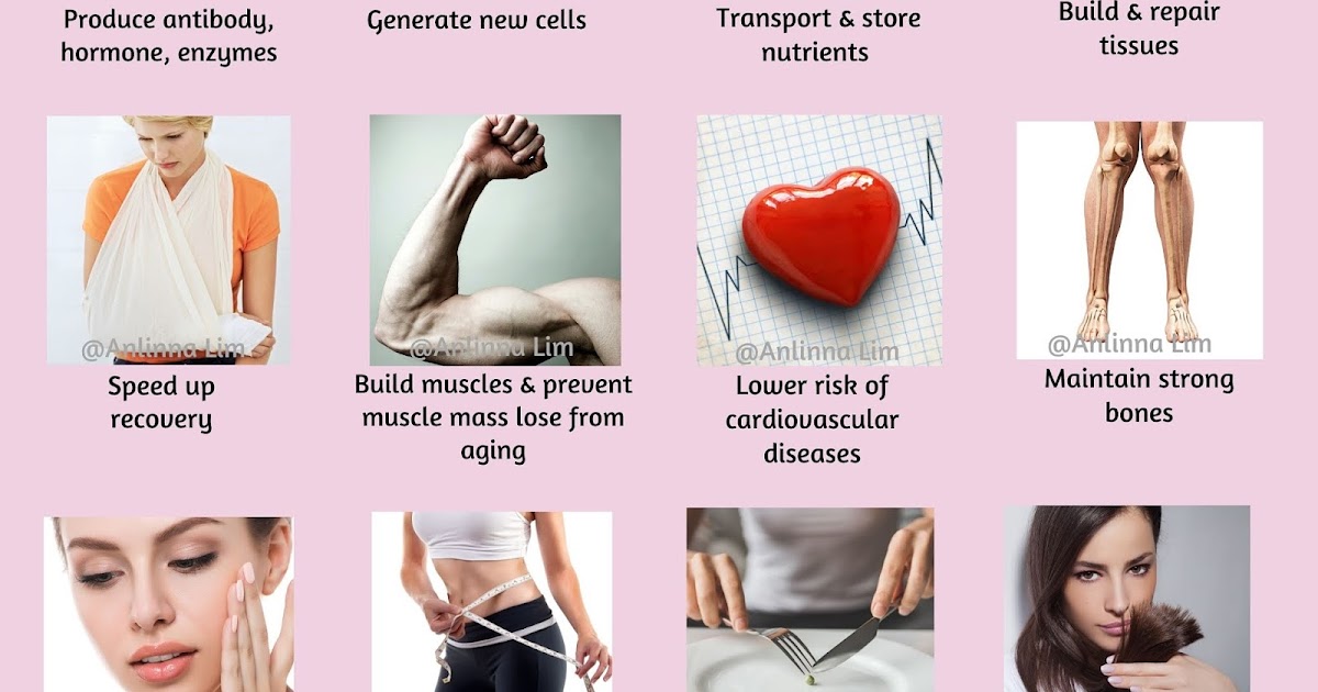 Wholesome Super Food Importance of protein