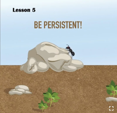 6 Lessons you can learn from an Ant 