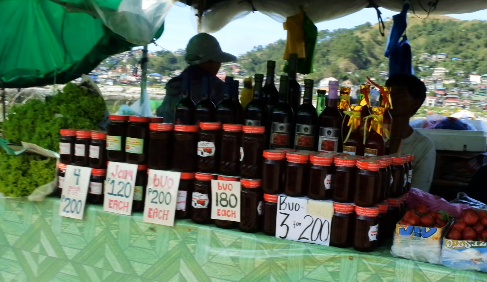Stupefying Trips Baguio Strawberry Picking at La Trinidad Benguet