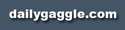 dailygaggle.com