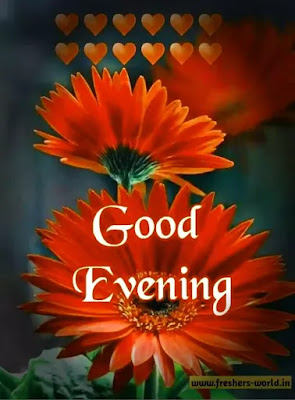 good evening images for whatsapp download,good evening images Free download for whatsapp good evening images for whatsapp download,good evening images Free download for whatsapp