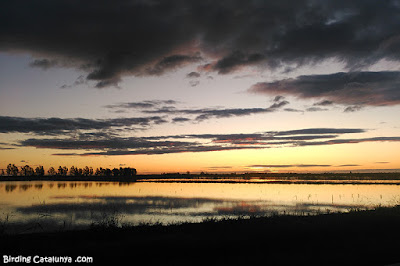 Sortida del sol al Delta