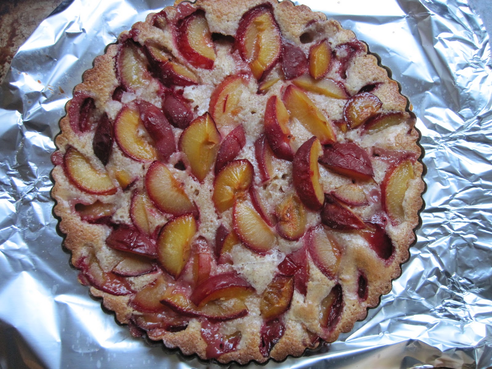 Cosa Vuol Dire Cake In Italiano
