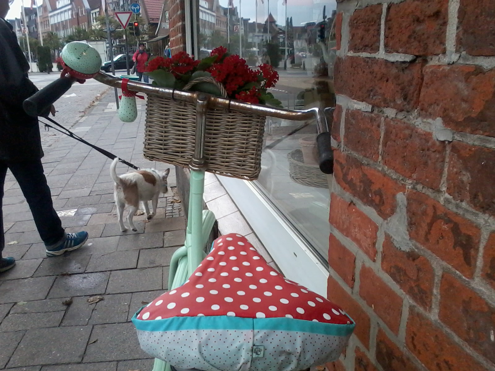 Armut In Deutschland September 2018