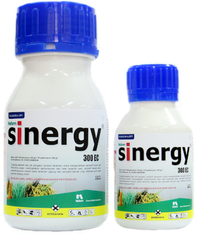 Fungisida Sinergy 300 Ec Salah Satu Fungisida Terbaik Untuk Padi Kliktani Com