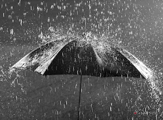 صور مطر, كلام عن المطر, مطر, صور, rain