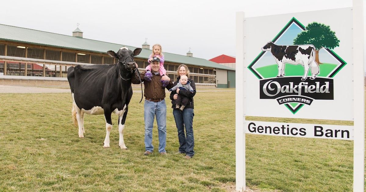 NEWS Oakfield Corners’ Jonathan and Alicia Lamb