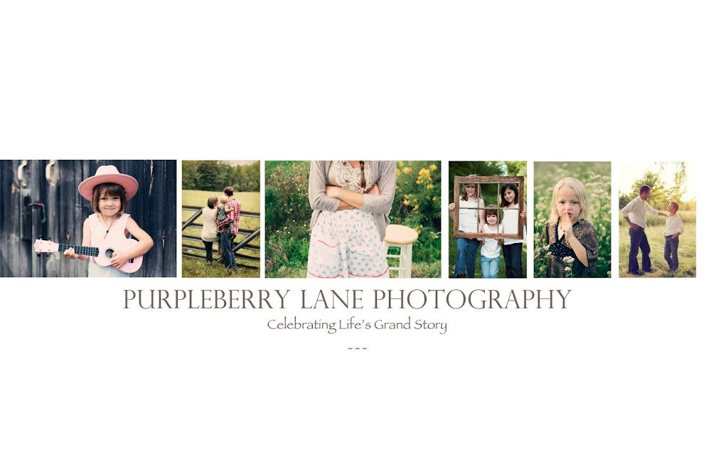 Purpleberry Lane Photography
