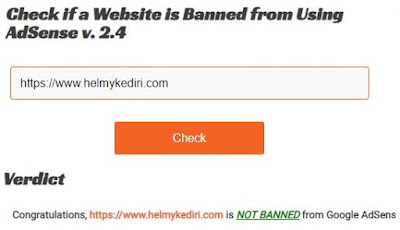 domain website yang dibanned adsense