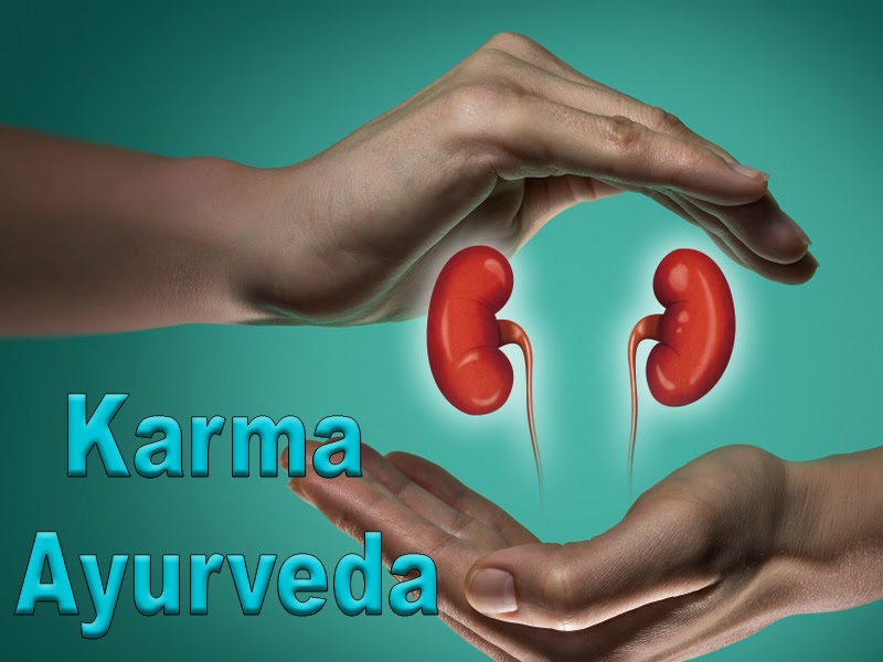 Karma Aayurveda Creatinine Level Treatment In Ayurveda, Karma Ayurveda