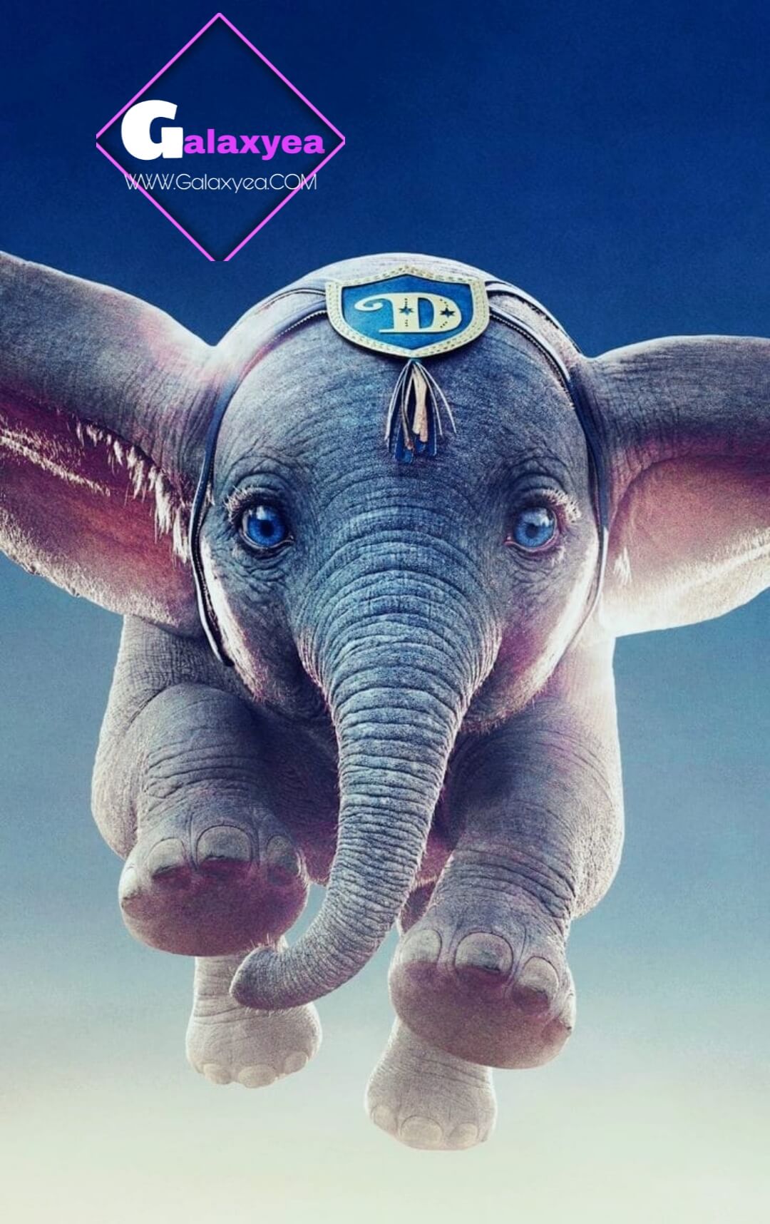 عم سيمبا عم سيمبا