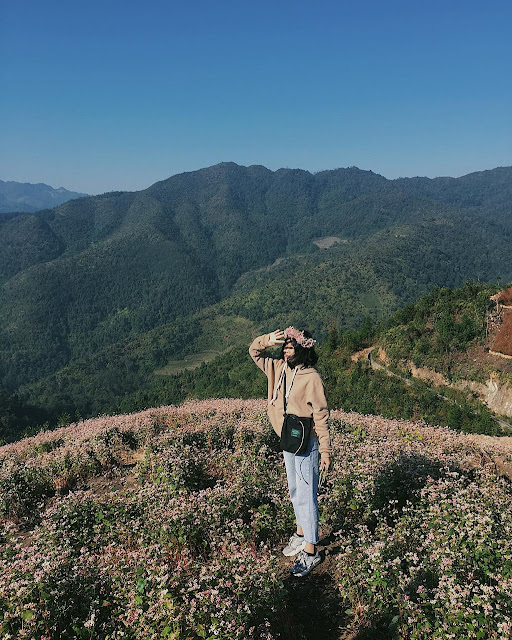 7 check-in places in Ha Giang buckwheat flower season