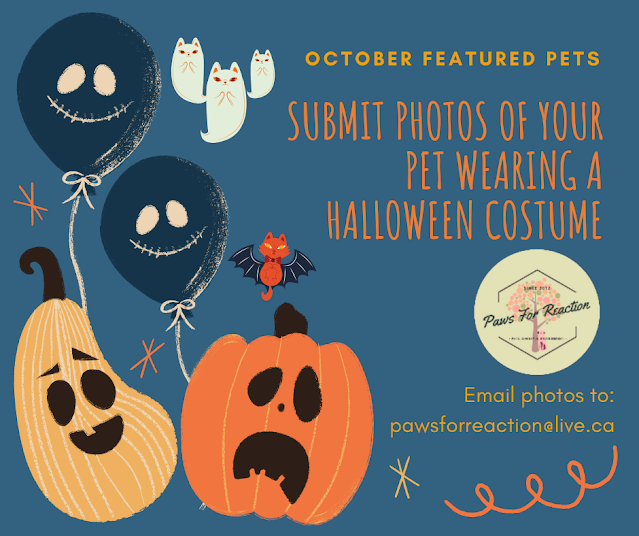 October featured pets: Halloween theme! | Paws for Reaction