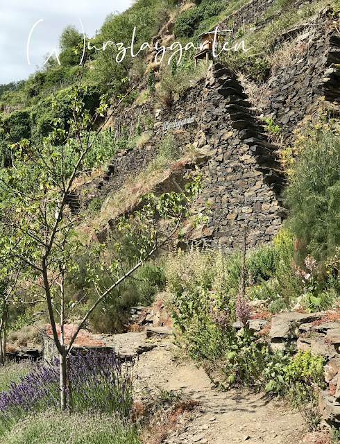 Bad Cannstatt November 2018