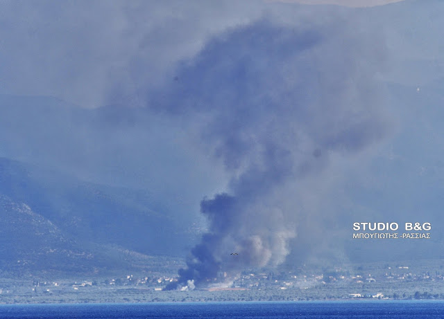 Μεγάλη πυρκαγιά στο Άστρος Κυνουρίας - Οι πυκνοί καπνοί φαίνονται από το Ναύπλιο