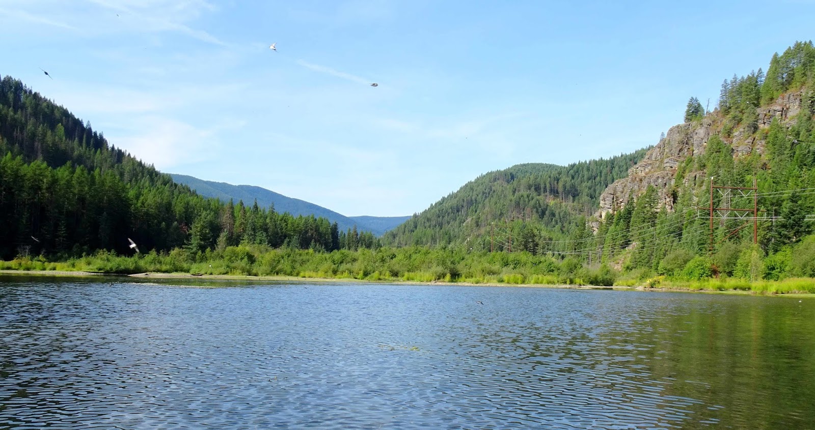 Wandering His Wonders Fancy Living in Trout Creek, Montana