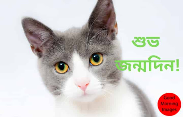 Happy Birthday | শুভ জন্মদিন দোস্ত