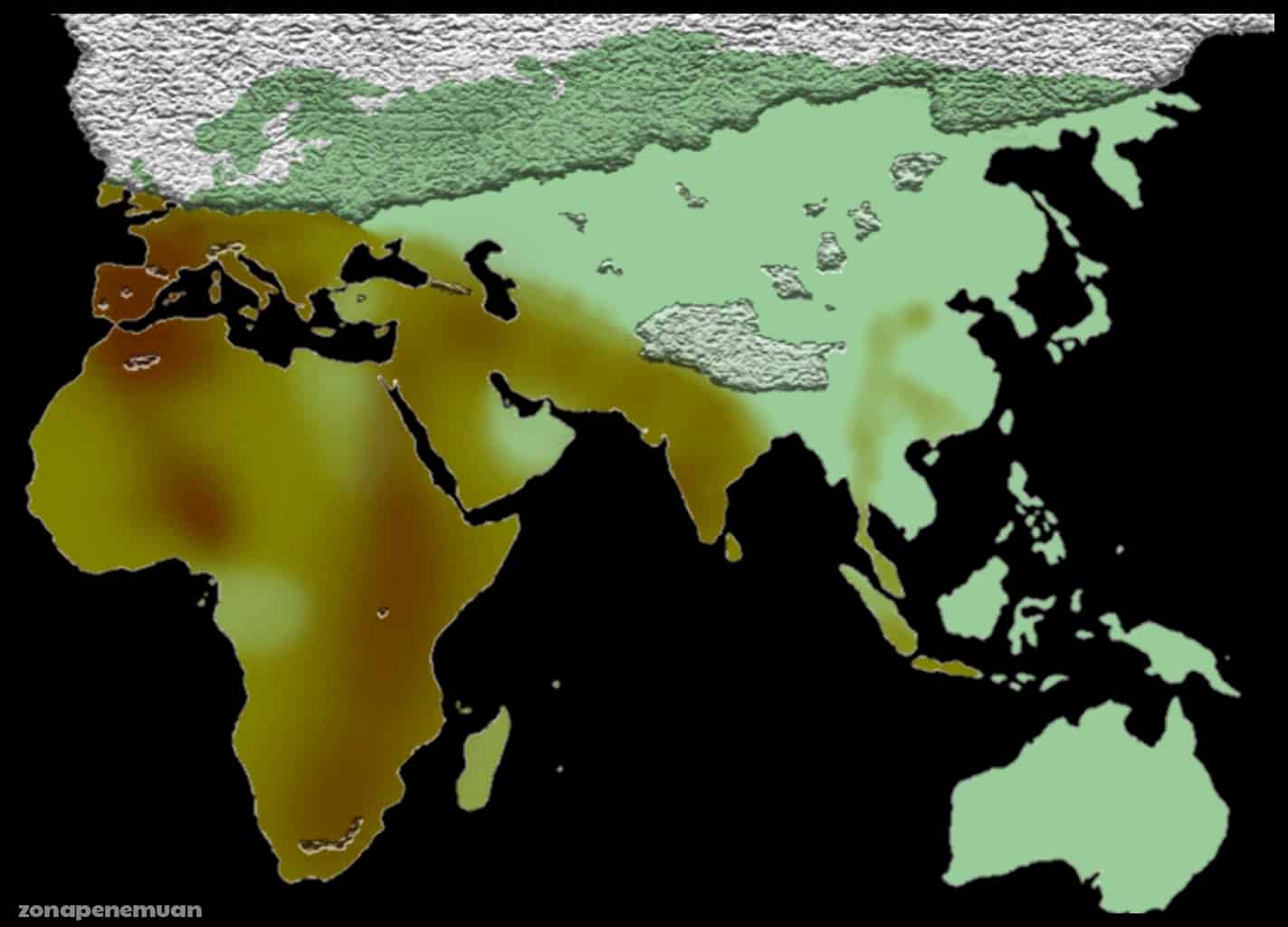 7 Fungsi, Pengertian dan Ciri-Ciri Kapak Genggam - Zona Penemuan