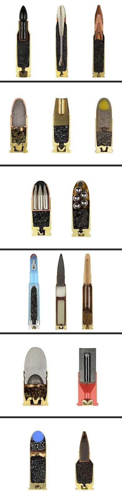Cutaway Views of Various Ammunition Cartridges